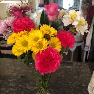 Meet your Posher, Claire